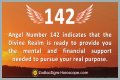 
ANGEL NUMBER 142
