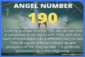 
ANGEL NUMBER 190

