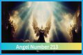 
ANGEL NUMBER 213
