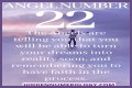 
ANGEL NUMBER 22
