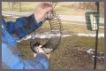 How To Put A Slinky On A Bird Feeder Pole?